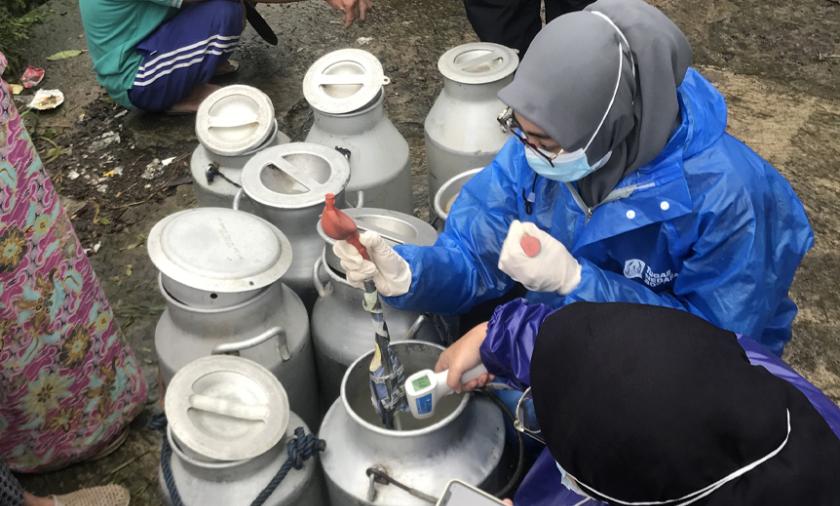 Researchers test milk quality