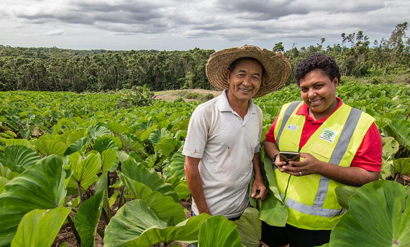 Two people standing in front of a crop of large green leaves