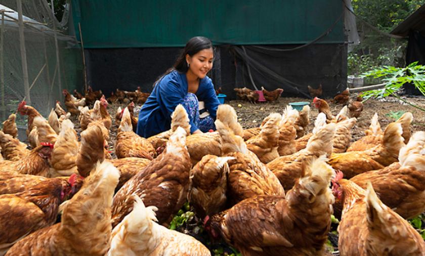 female farmer with chickens 