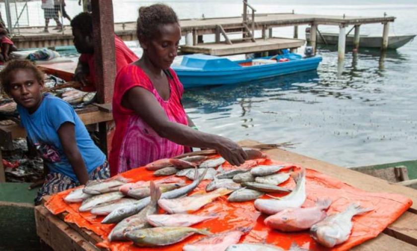Reef fish for sale at Gizo market, Western Province, Solomon Islands. Photo credit: Filip Milovac / WorldFish