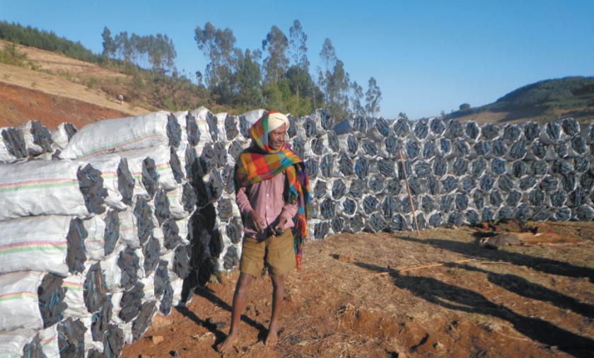 An Ethiopian farmer stands beside his bags of Acacia decurrens charcoal. 