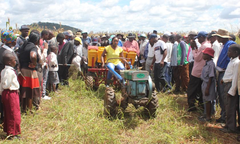 Field day in Makonde, Zimbabwe. Image: Frédéric Baudron