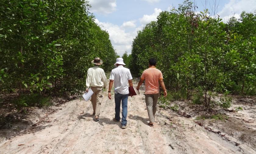 Forestry Administration staff conducting surveillance in an Acacia plantation, Kampong Chhnange Province, Cambodia.