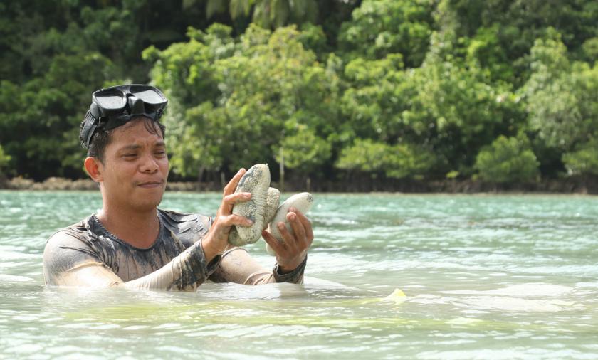Roberto Gonzales Jr, a sandfish ranch co-manager in Buyayawon, Mercedes, Eastern Samar, inspects a sandfish.