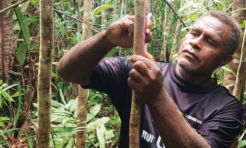 A man marking trees in the forest