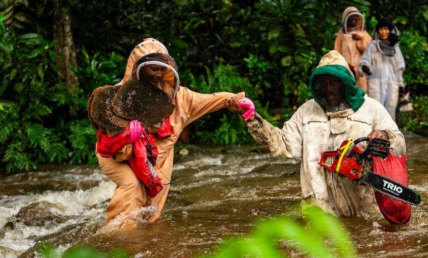 beekeepers crossing river