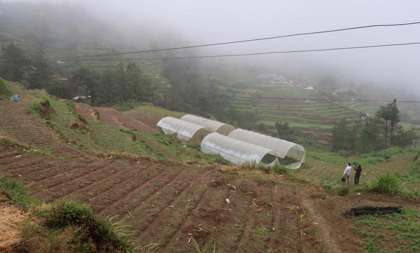 An upland vegetable farm in Benguet Province in northern Philippines.