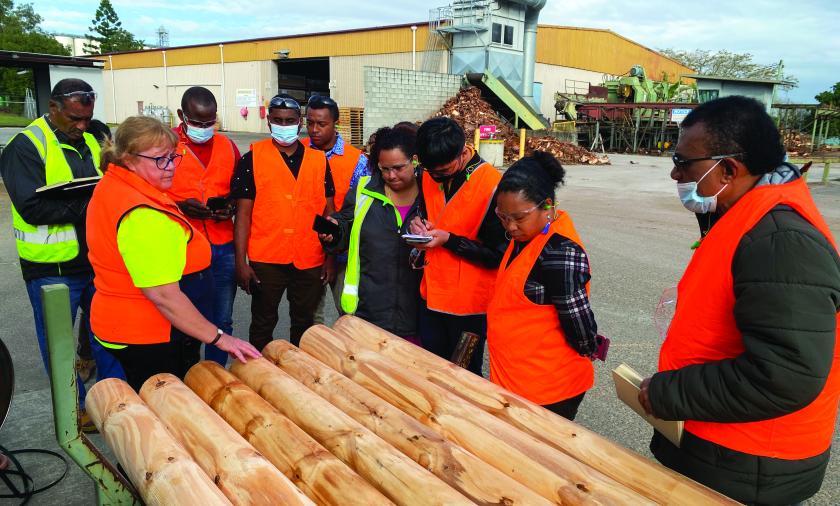 Group of people inspecting wood in factory yard