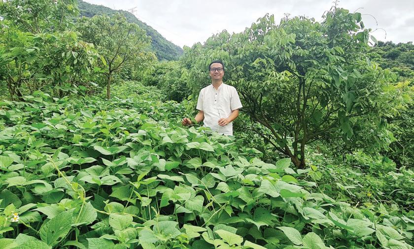 Man standing in the middle of a bean crops