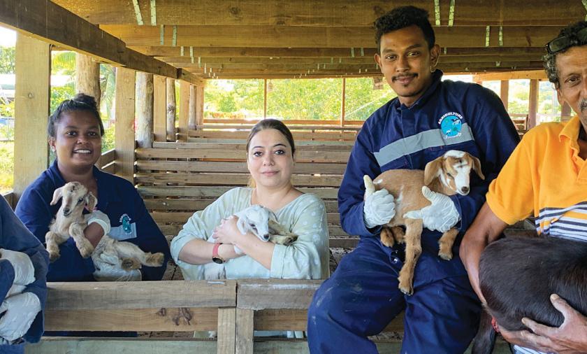 Group of 5 people holding small goats