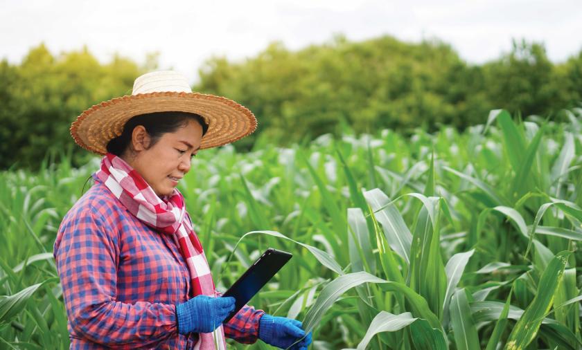Women in crop field wearing hat an gloves looking at a mobile device