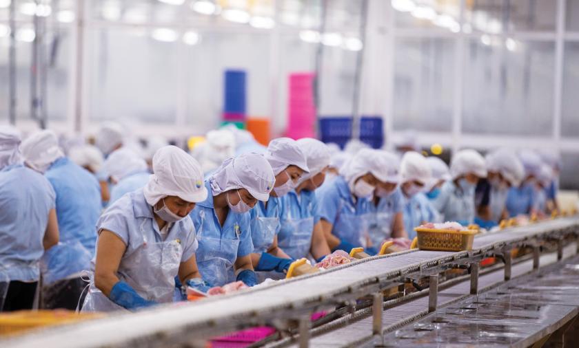 workers processing catfish wearing blue uniforms and white hairnets