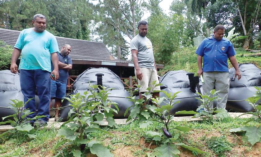 a group of 4 men outdoors looking down at growing plants.