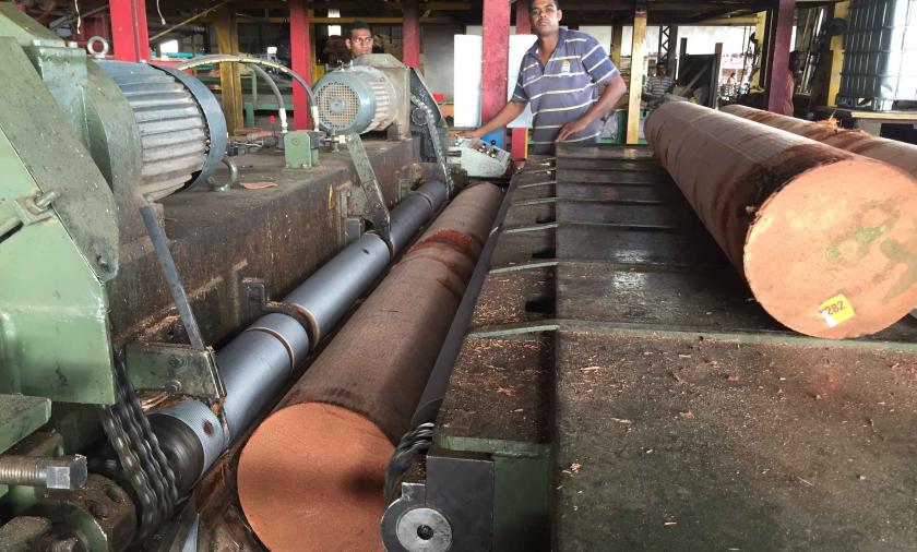 ACIAR-supported research has developed new ways to process coconut logs that allow them to be milled for veneers and other engineered wood products.