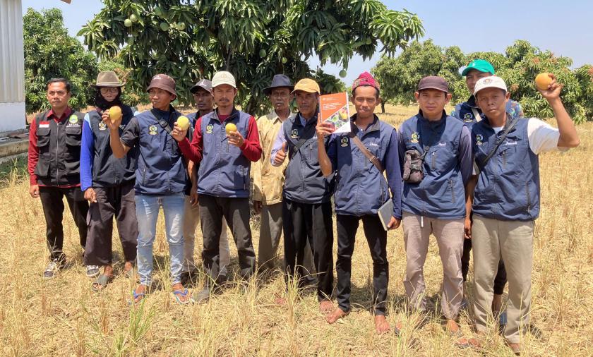 Mango farmers