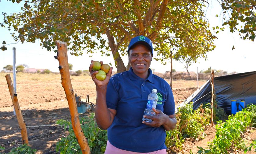 Woman holding tomatoes