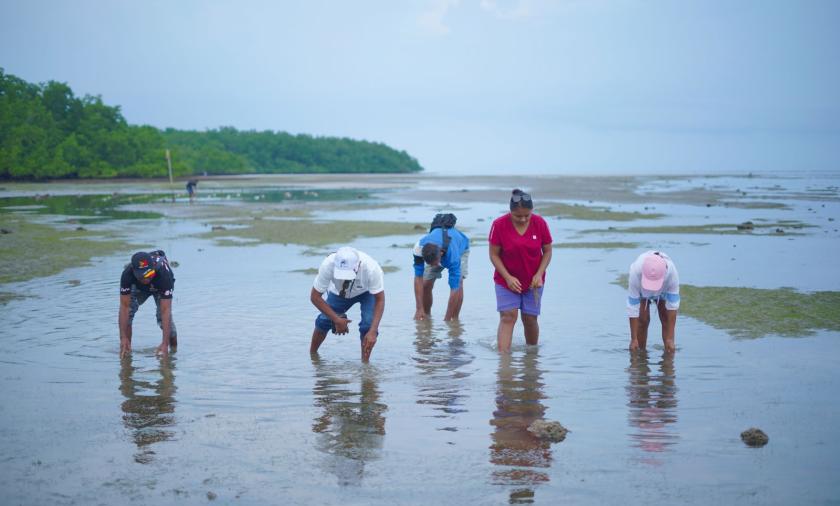 People standing in ankle-deep water