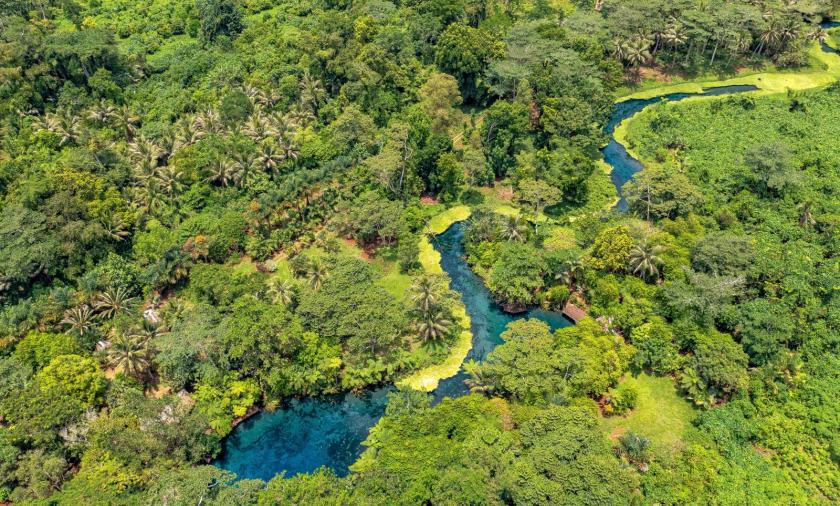 Aerial image of tropical vegetation