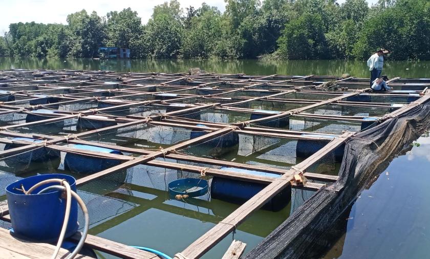 Close up of aquaculture farm 