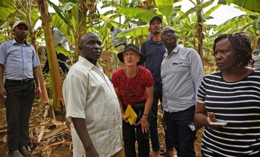 Group discussion among researchers and farmers standing in a banana plantation