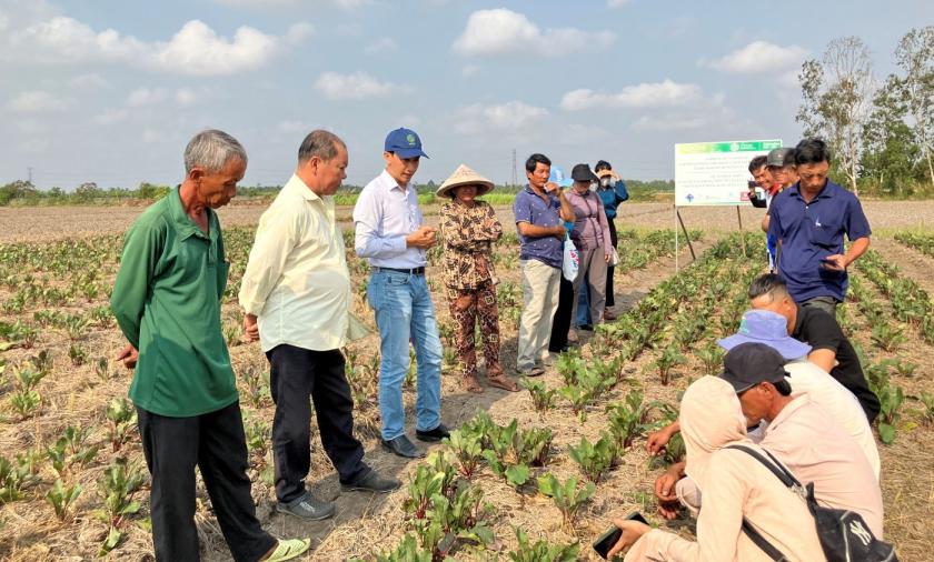 Group of farmers and researchers inspecting vegetable crops during a field training session.