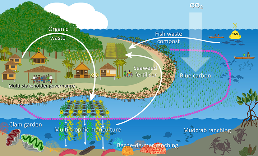 Numbered diagram of the the Coastal food production system